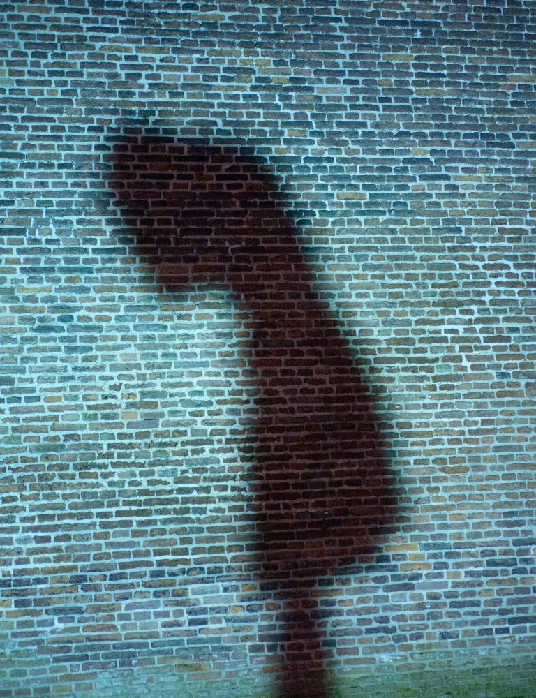 Shadow on a wall